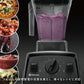 Vitamix(バイタミックス)/VitamixE310