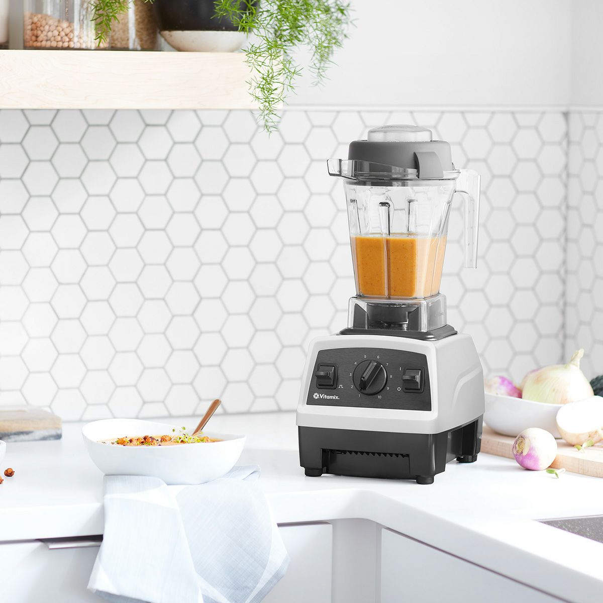 Vitamix(バイタミックス)/VitamixE310