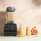 Vitamix(バイタミックス)/VitamixE310