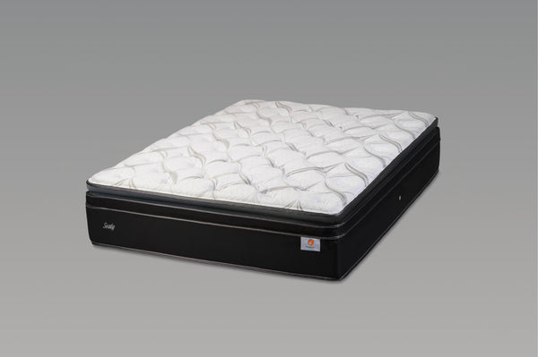 シーリー マスターピースDEPT マットレス 日本製 高級寝具