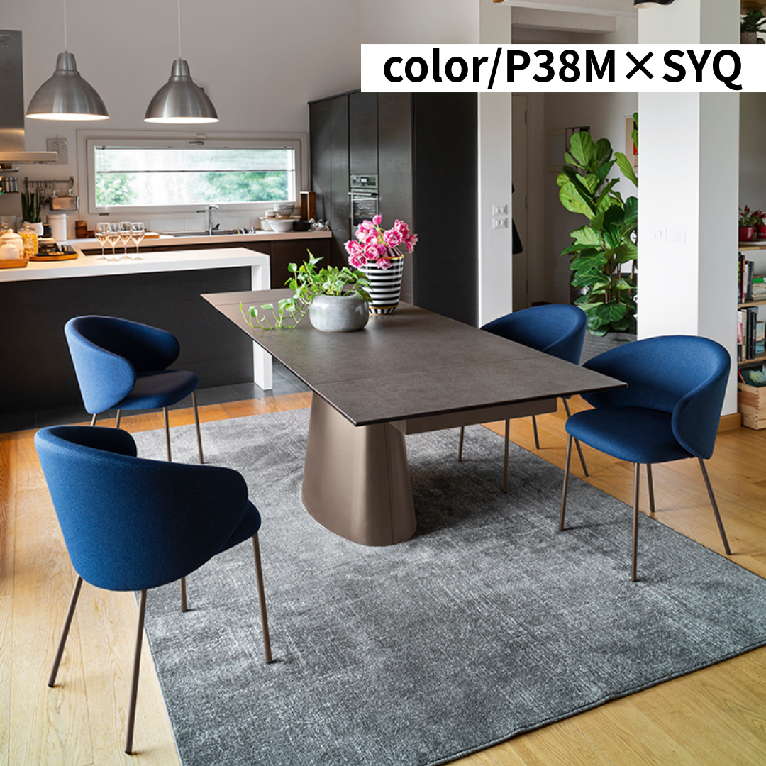 【36回分割金利無料/正規代理店】calligaris カリガリス TUKA METAL 2脚セット トゥカ CB1999