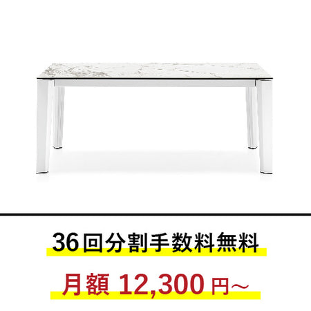 36回分割金利無料/正規代理店】calligaris カリガリス ダイニング
