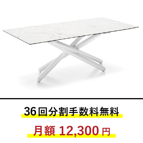 【36回分割金利無料/正規代理店】calligaris カリガリス ダイニングテーブル DUEL デュエル CB4850FR200